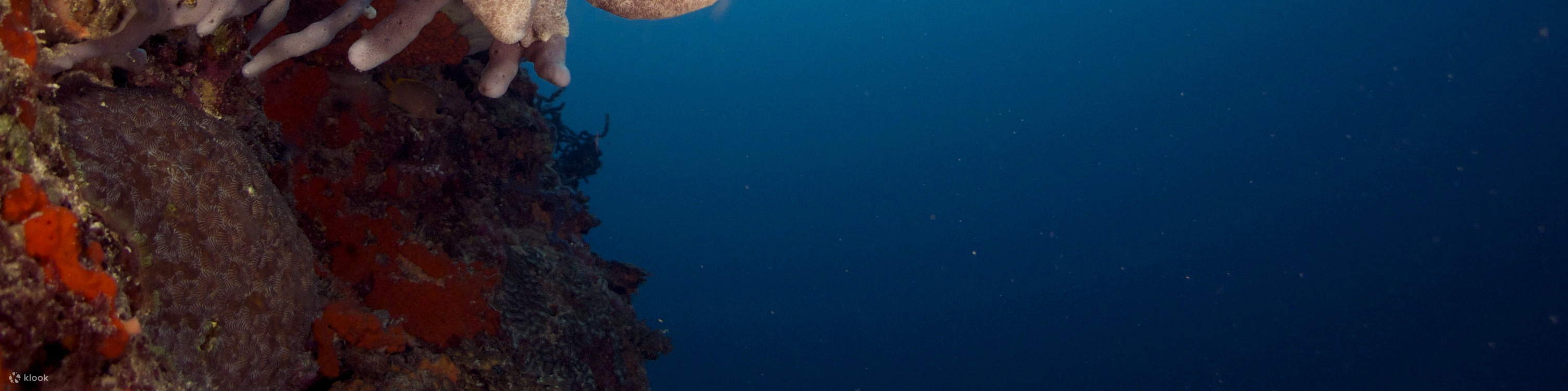 PADI Advanced Open Water Diver